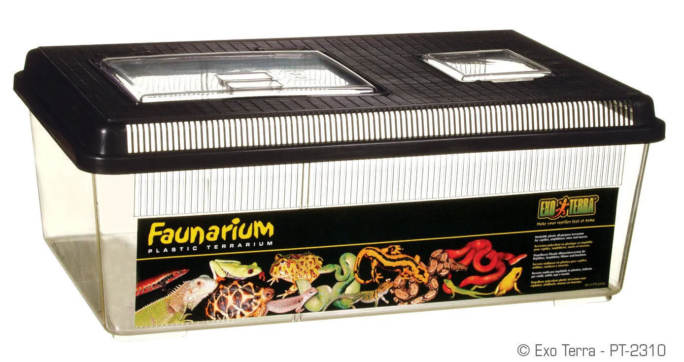Exo Terra - Faunarium pour Reptiles - 43x30x17cm