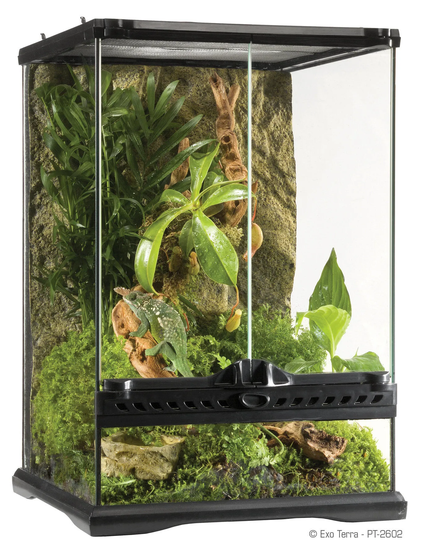 Exo Terra - Terrarium en Verre pour Reptile - 30x30x45cm