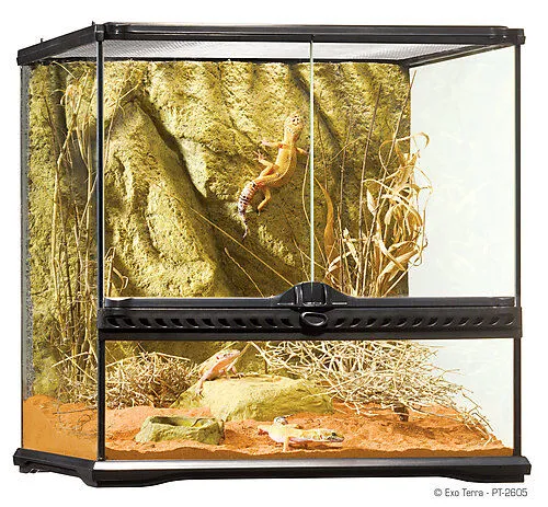 Exo Terra - Terrarium en Verre pour Reptile - 45x45x45cm