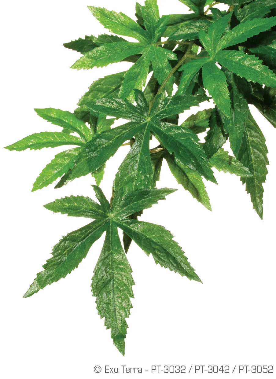 Exo Terra - Plante Abutilon pour Terrarium - L