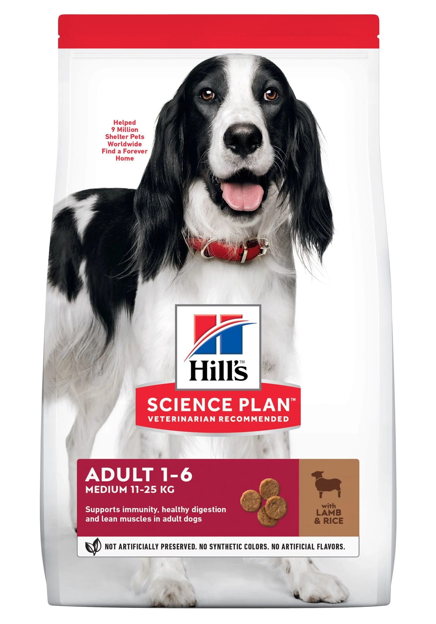 Hill's Science Plan Puppy Croquettes pour Chiot à l'Agneau et Riz