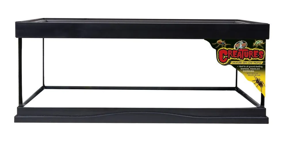 Zoomed - Kit Creature pour Araignées, Insectes