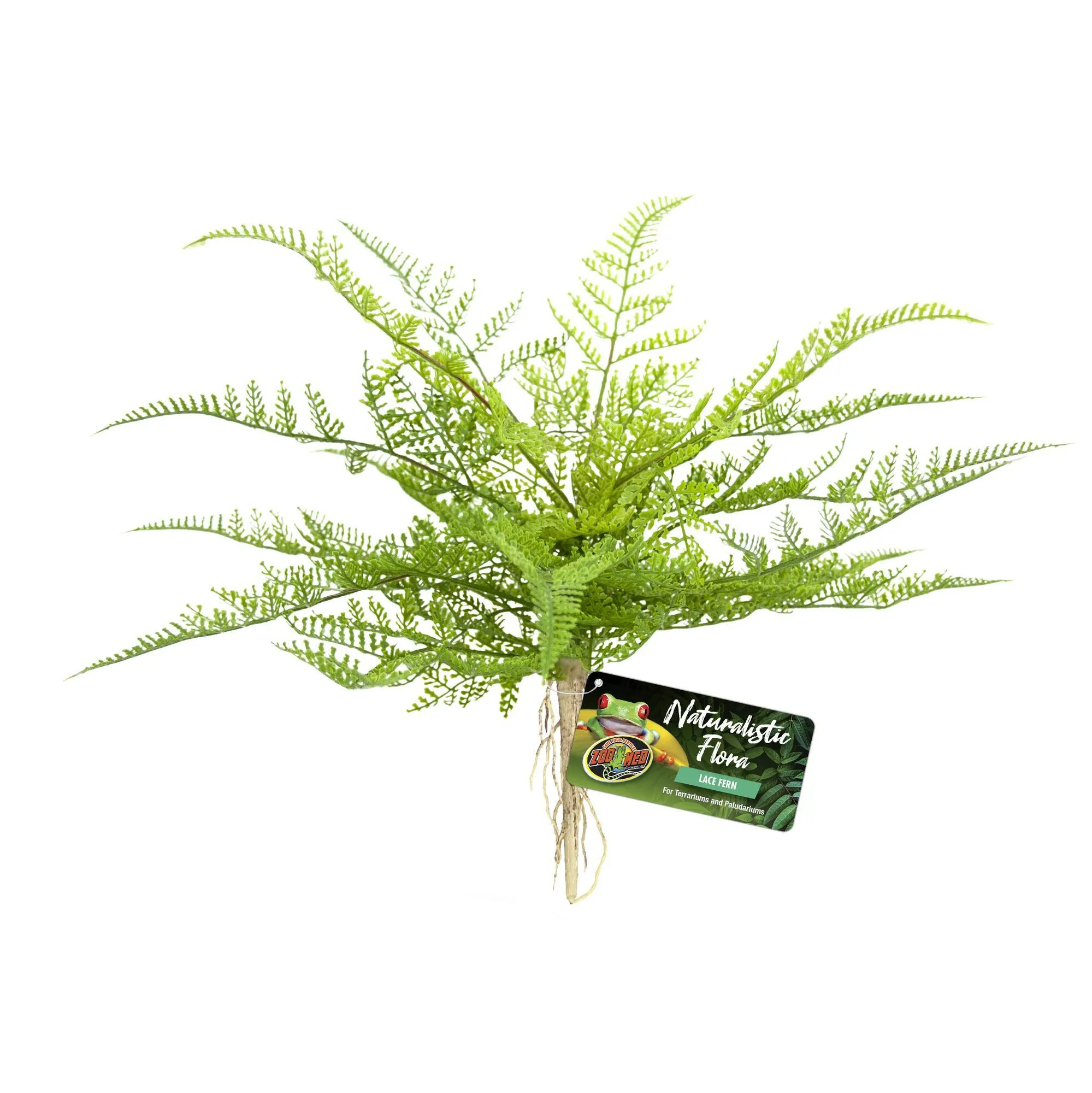 Zoomed - Plante Artificielle Lace Fern pour Terrarium