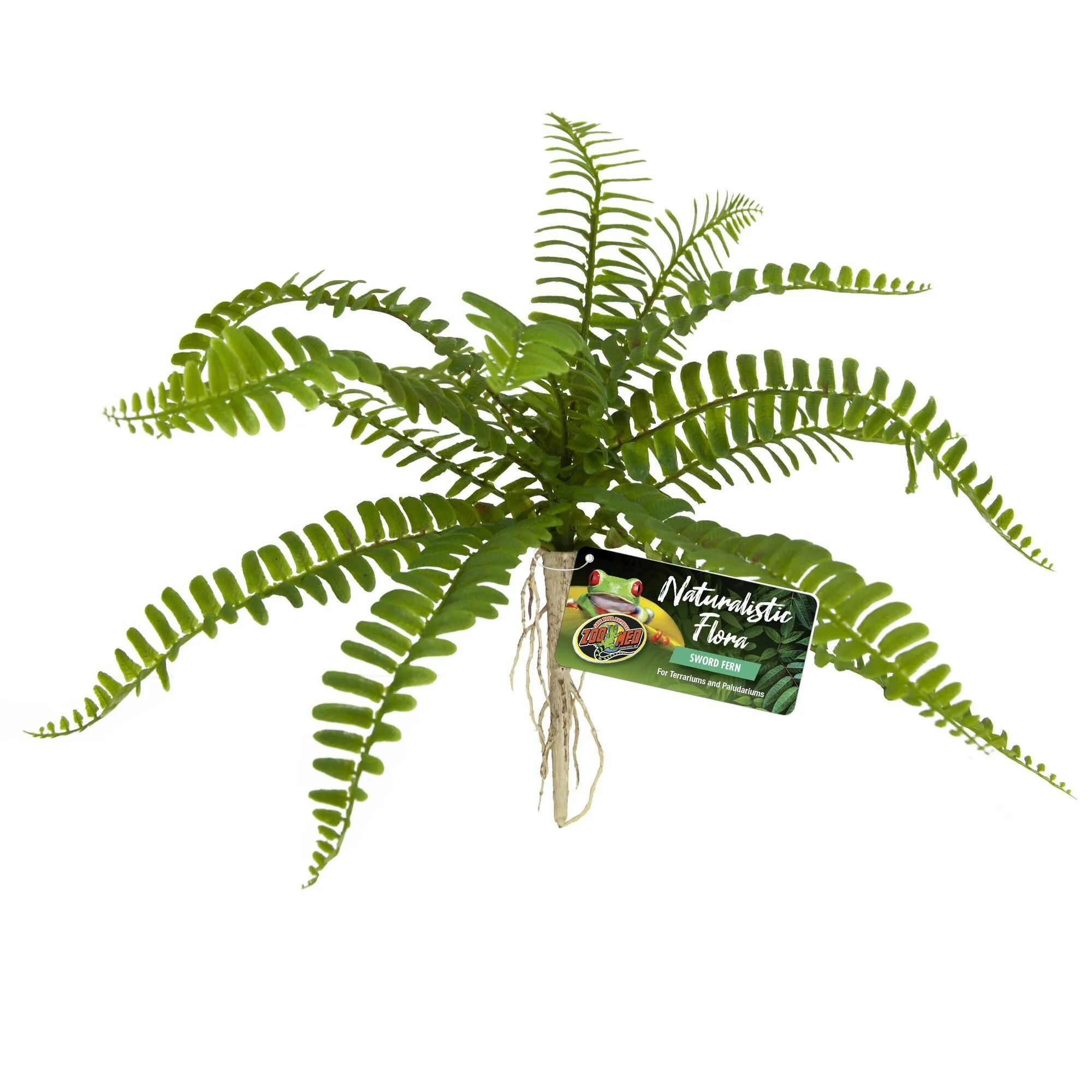 Zoomed - Plante Artificielle Sword Fern pour Terrarium
