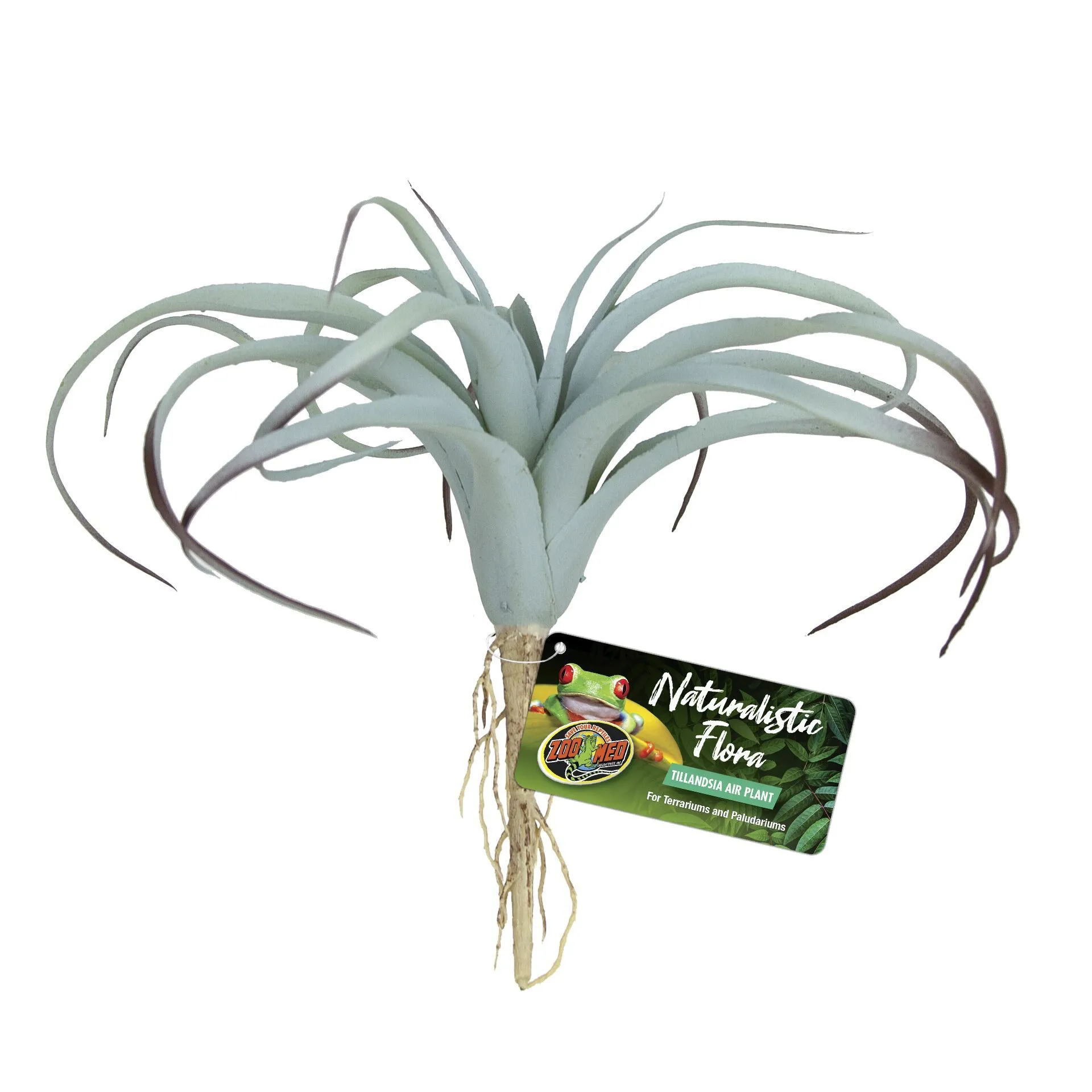 Zoomed - Plante Artificielle Tillandsia pour Terrarium