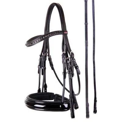 Bridons équitation Paris