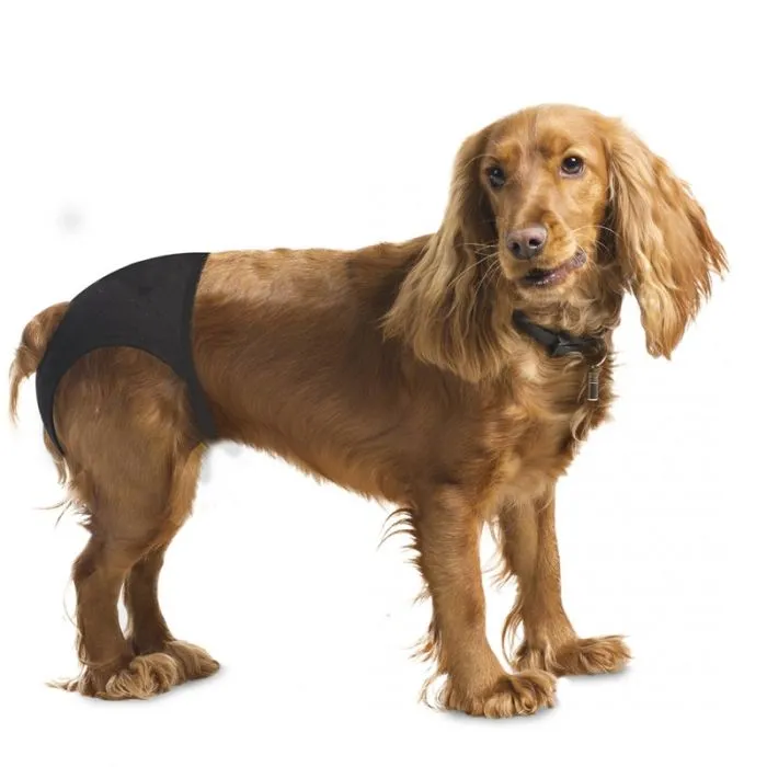 Culotte Pour Chiens 32-39cm