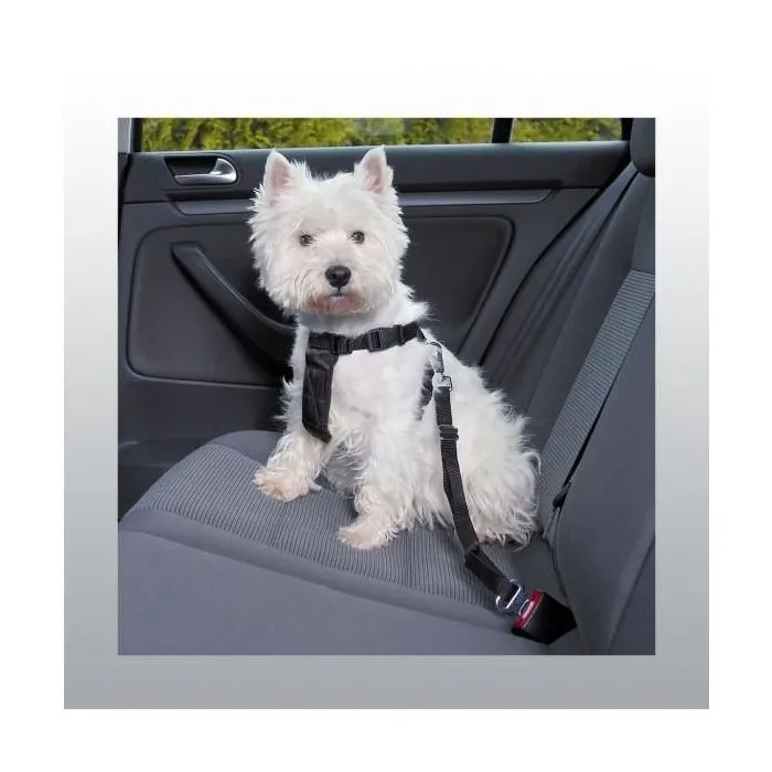 Harnais de sécurité pour auto