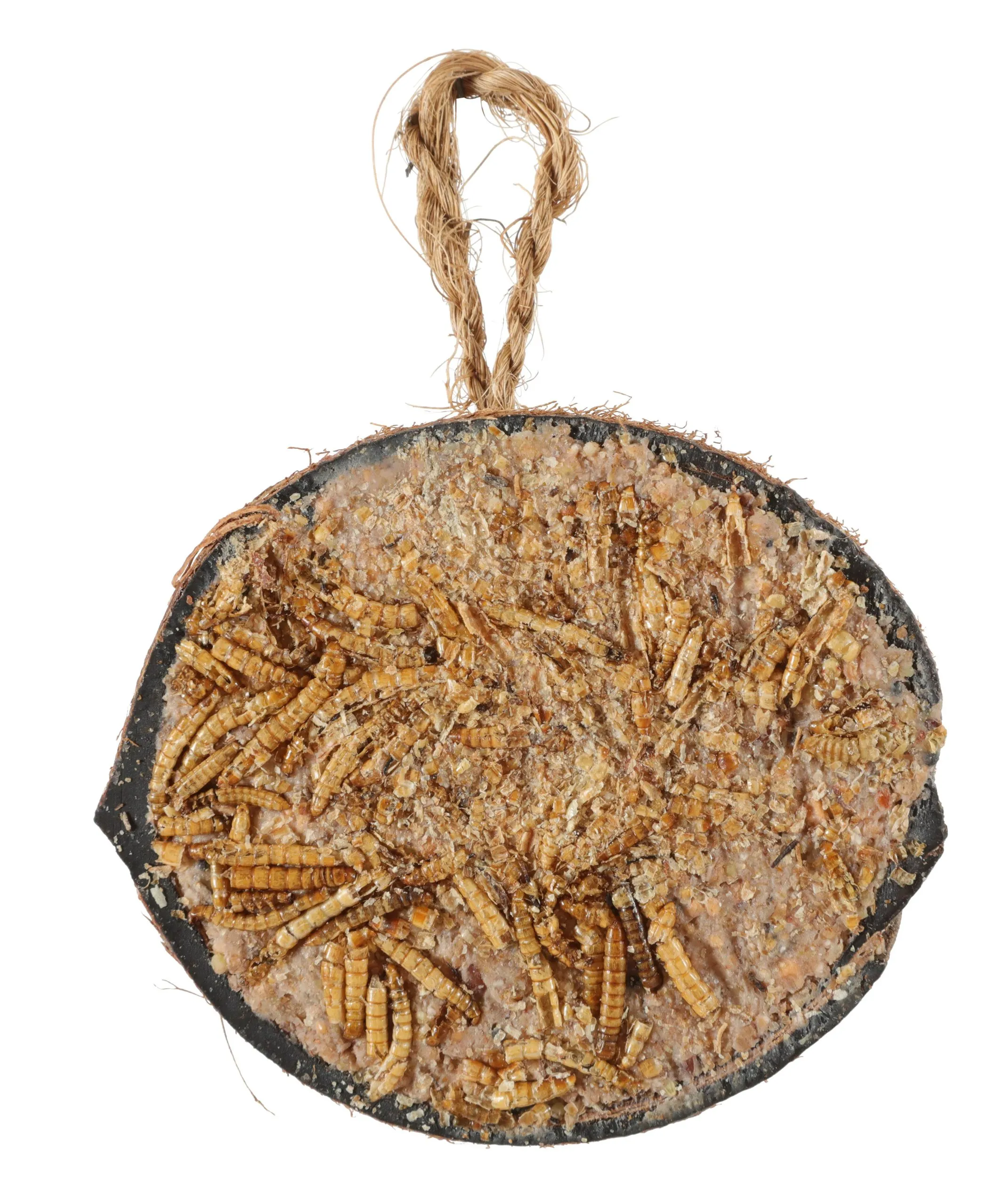 Zolux - Demi noix de coco avec graisse et vers de farine - 200g