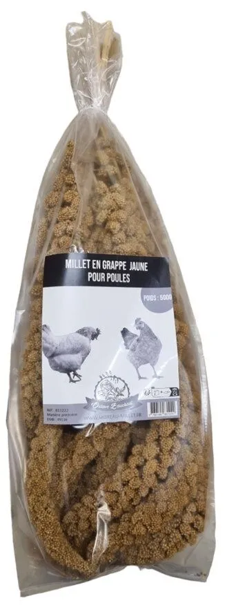 Octave Bauchant - Millet Jaune en Grappes pour Poules - 500g