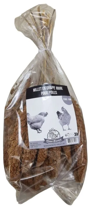 Octave Bauchant - Millet Rouge en Grappes pour Poules - 500g