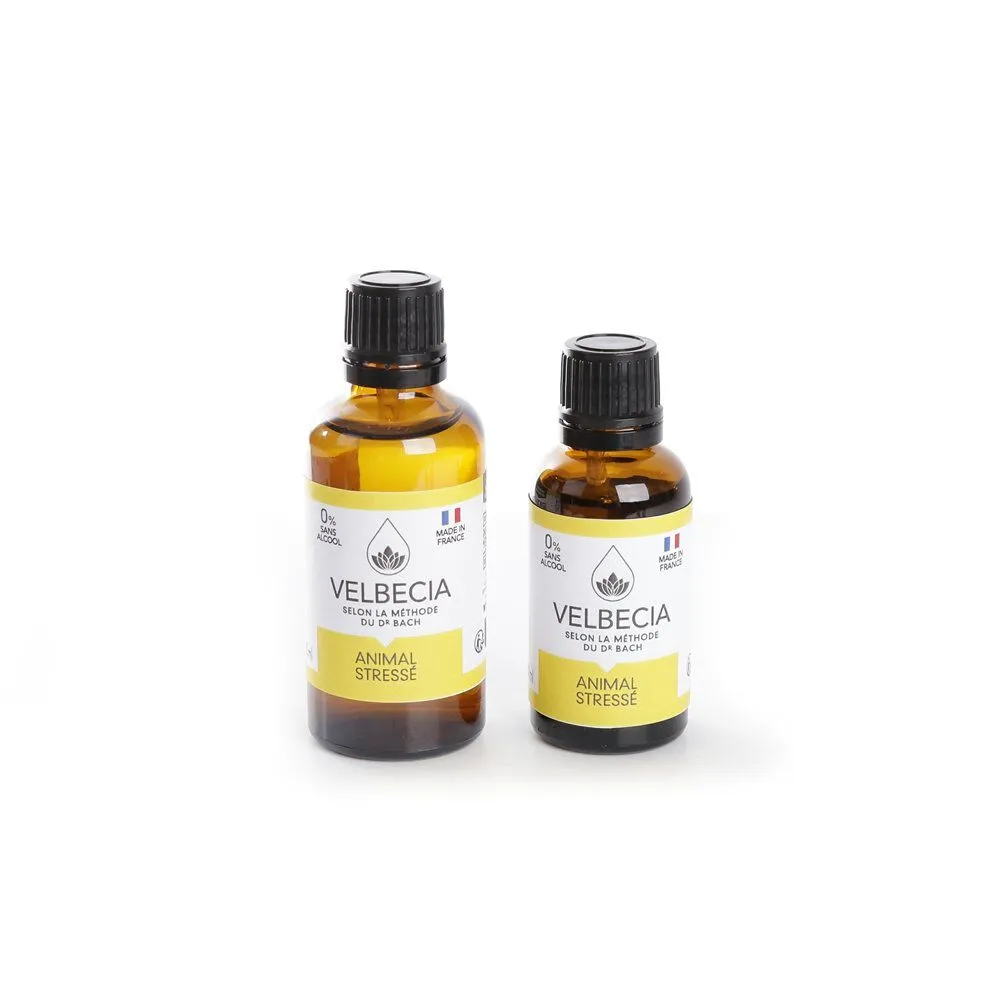 Velbecia - Fleur de Bach Stress pour Chien et Chat