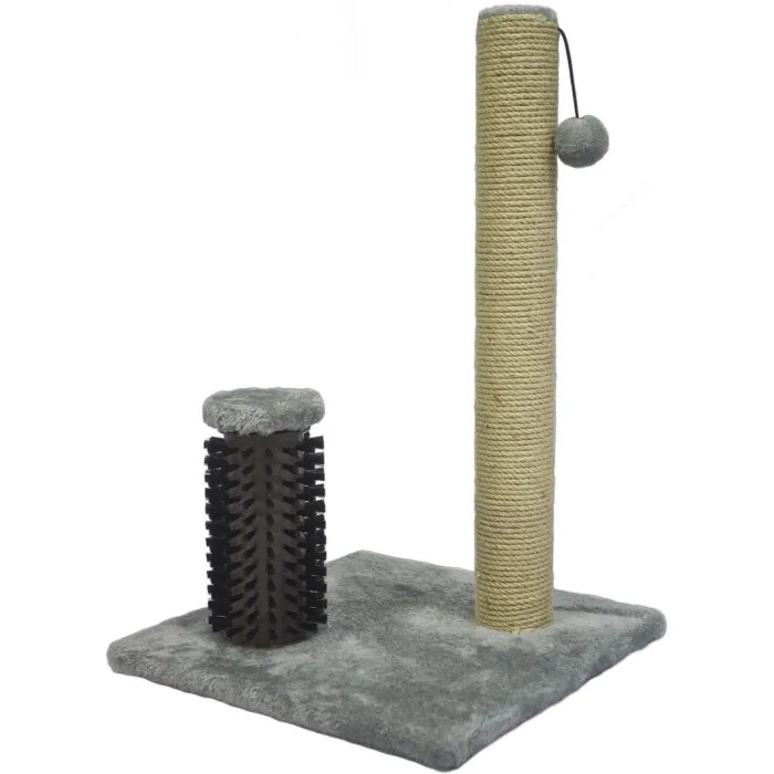 Arbre à Chat Avec Brosse