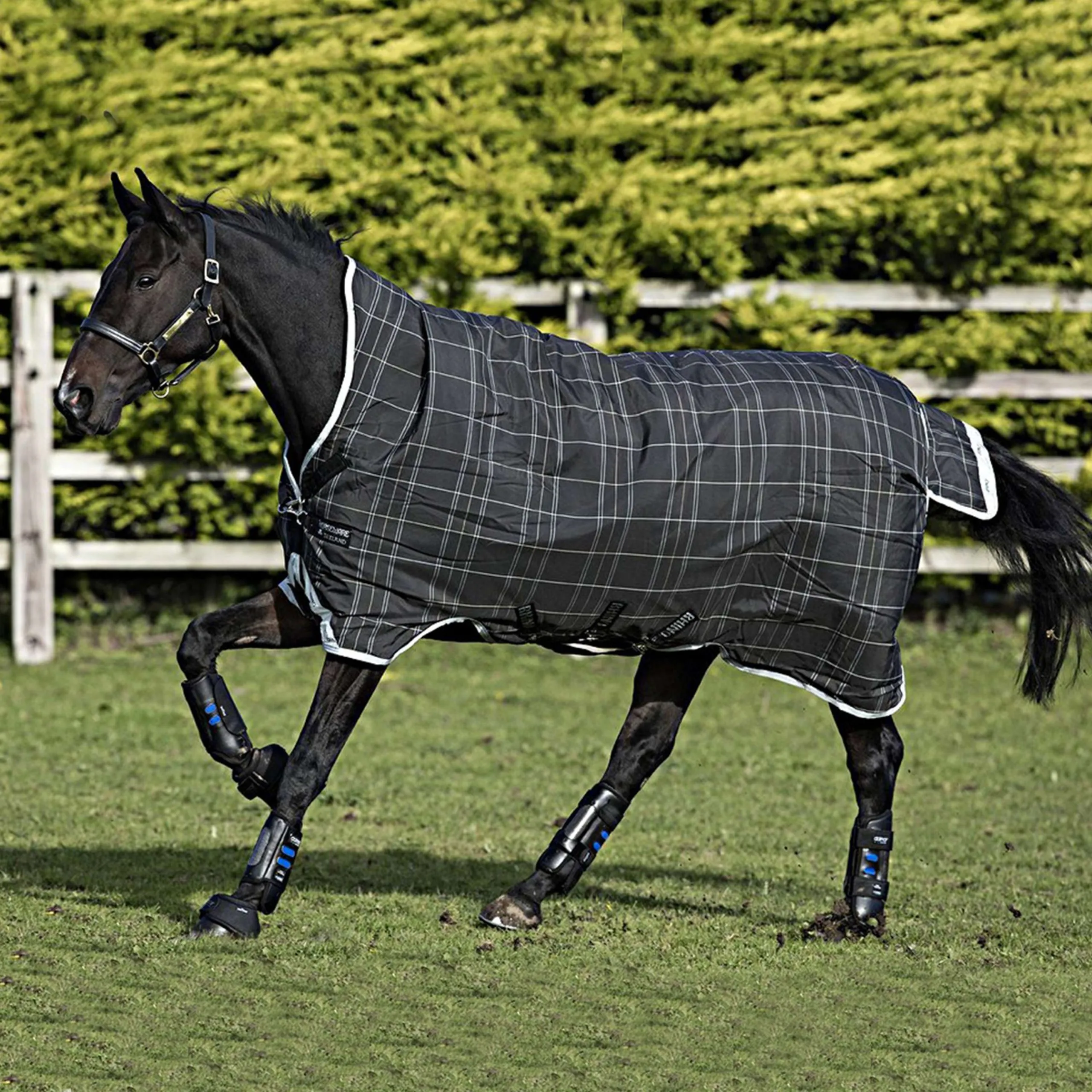 Rhino Wug Turnout Heavy Varilayer 450g Noir/Gris/Blanc à carreaux et Gris