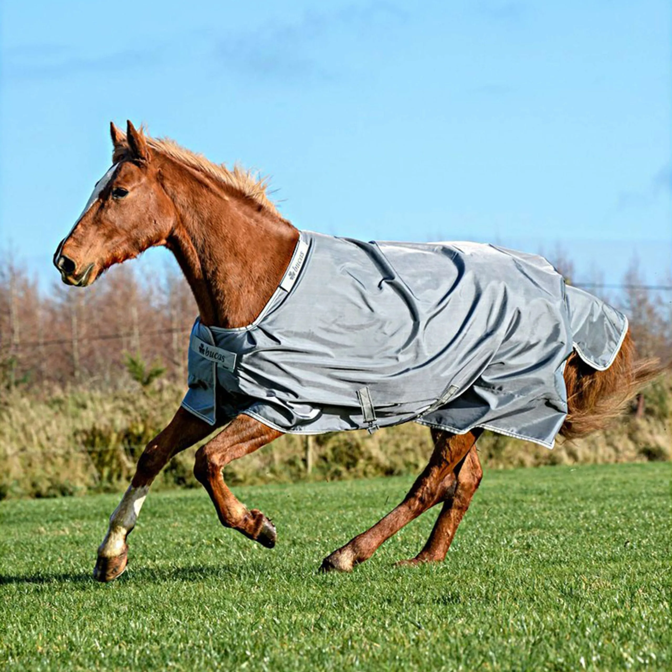 Bucas Couverture Imperméable Smartex Rain 0g Iron Gate