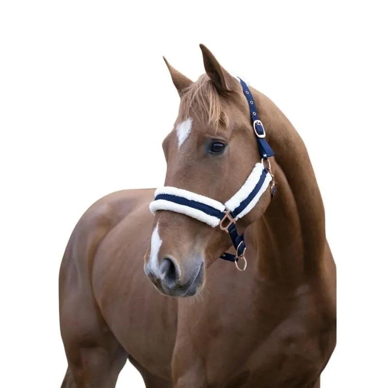 Licol pour cheval Confort