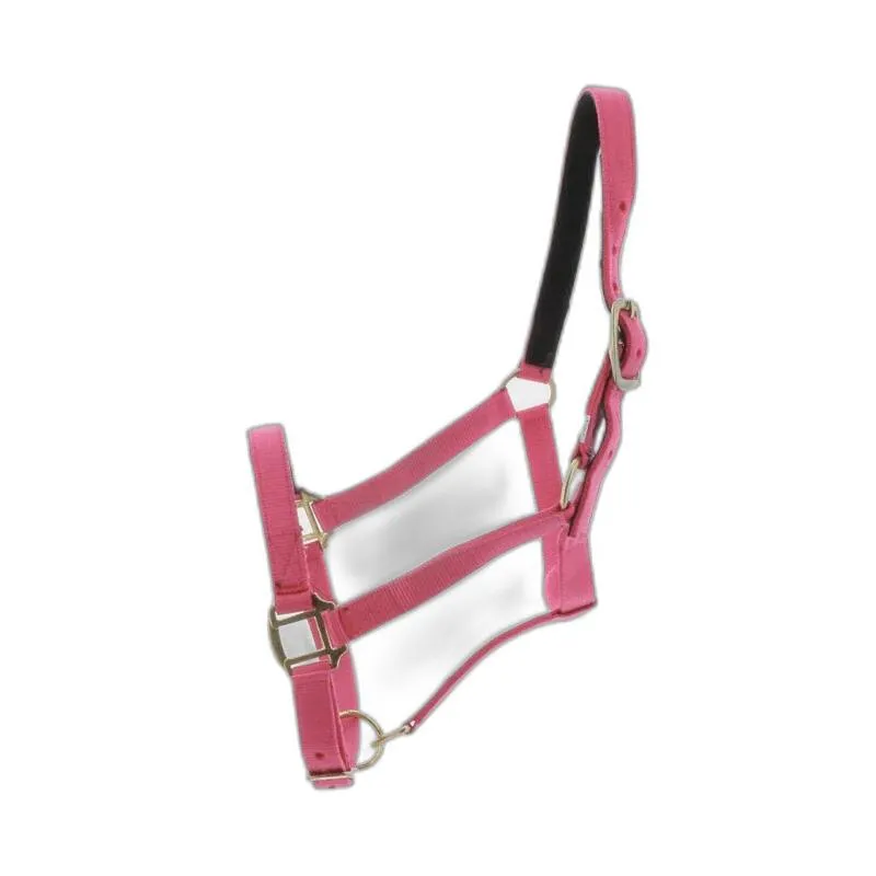 Licol pour cheval Doublé cuir