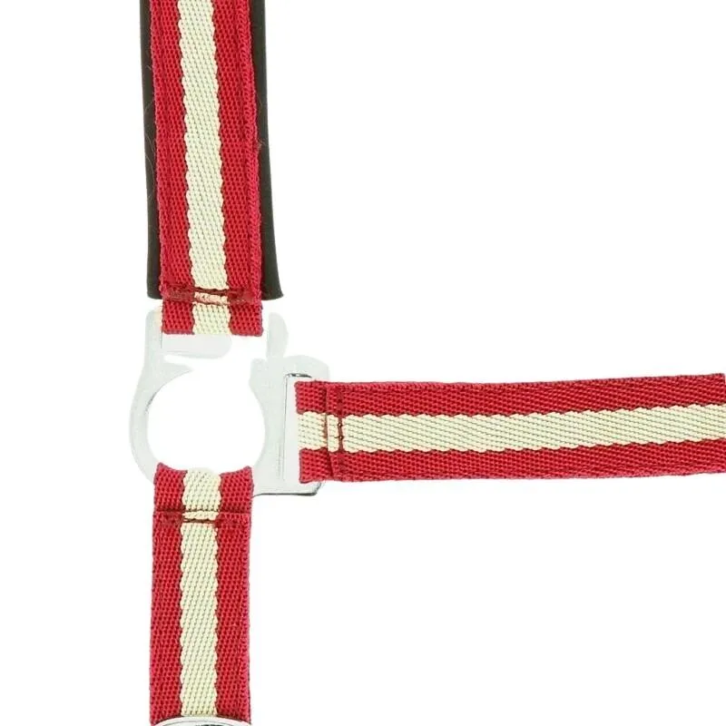 Licol pour cheval Doublé néoprène