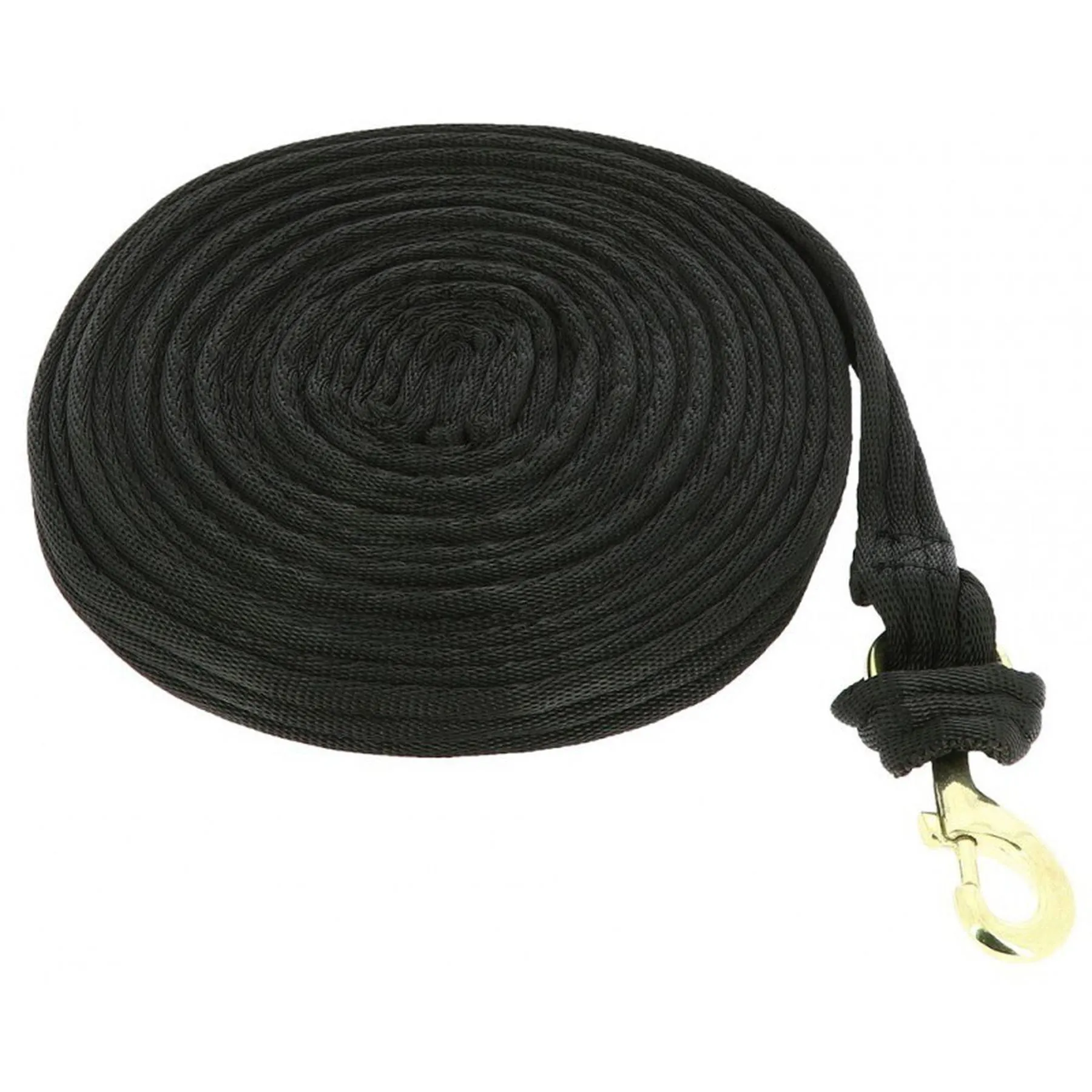 Longe pour cheval matelassée