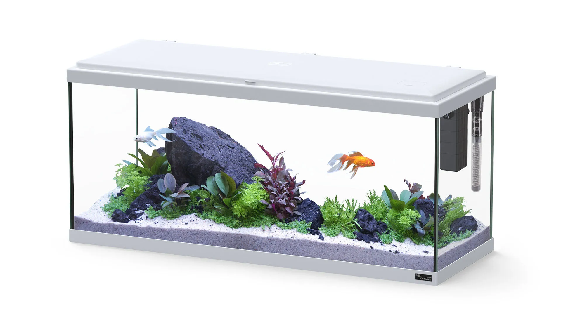 Aquatlantis - Aquarium Explorer Amsterdam 80 Equipé