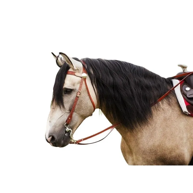 Bridons équitation pour cheval Two tone