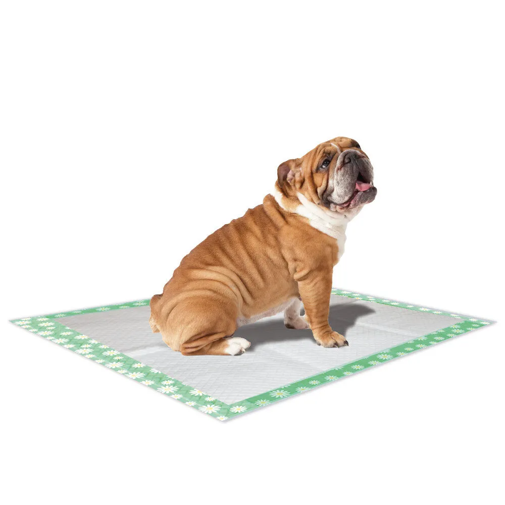 Croci - Tapis Hygénique Super Nappy Daisy pour Chiots - 84x57cm