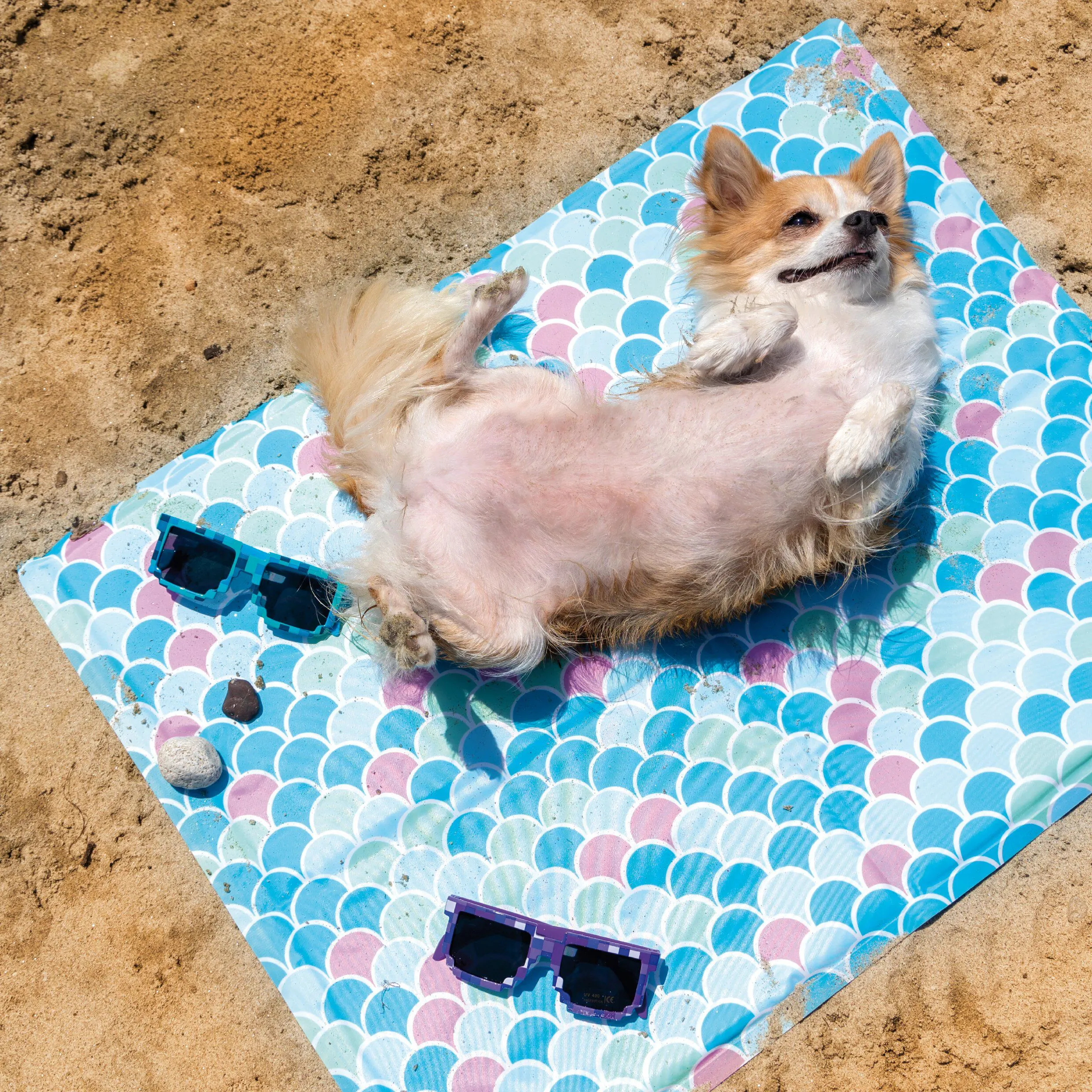 Croci - Tapis Fresh Scales pour Chiens