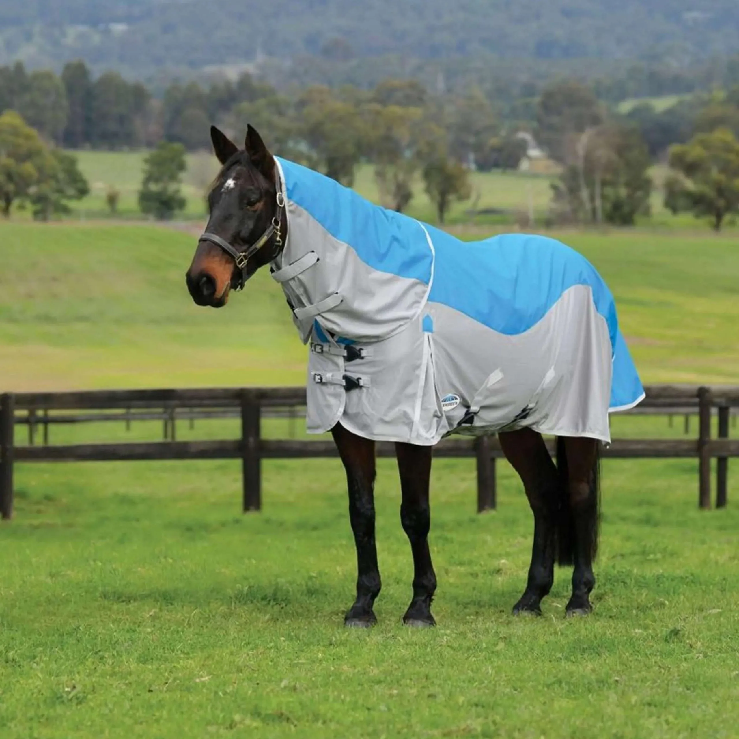 Weatherbeeta Couverture Anti-Mouches Dual Shield Detach-A-Neck Bleu/Gris