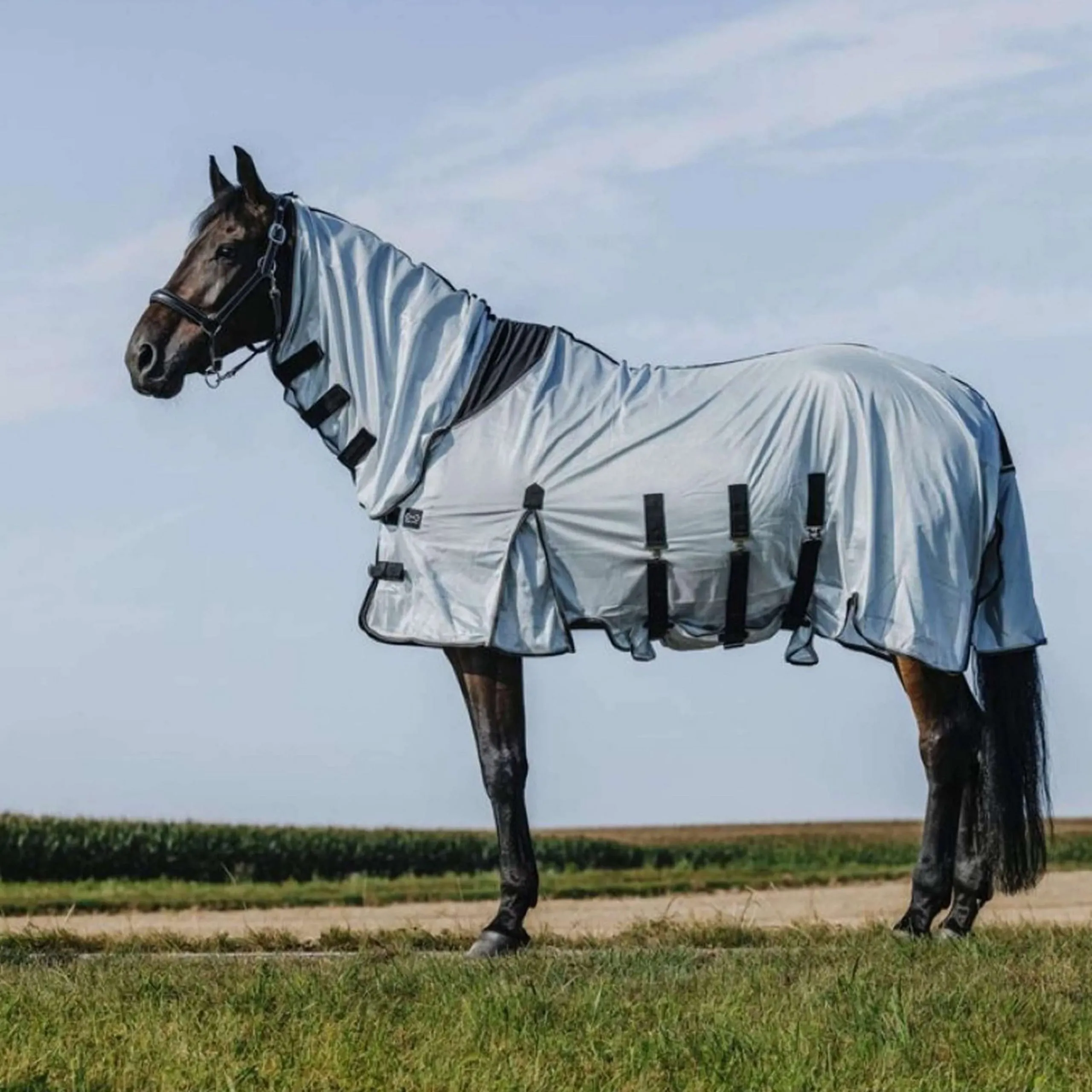 Riding World Couverture Anti-Mouches Belly Mesh Combo Gris