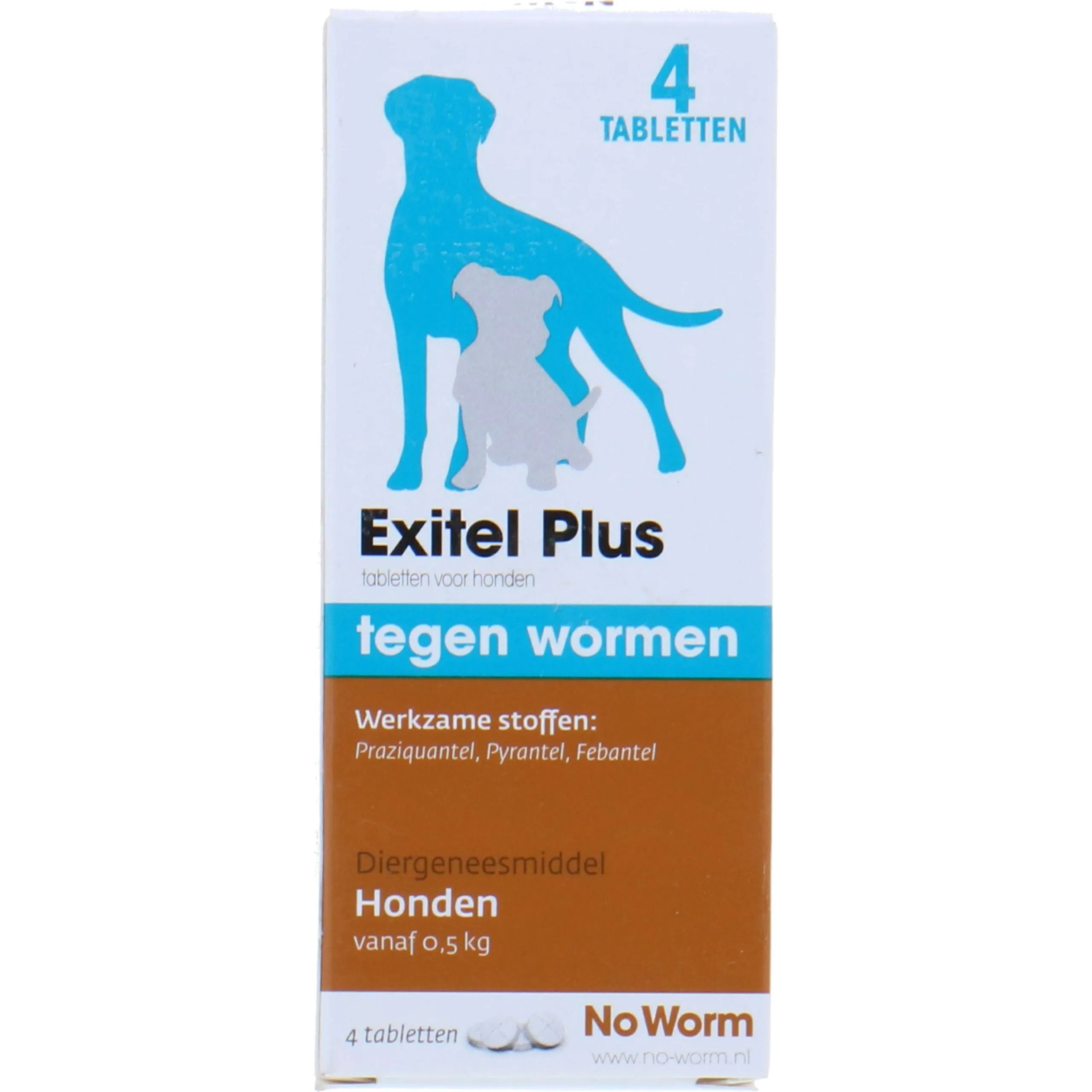 No Worm Exitel Chien