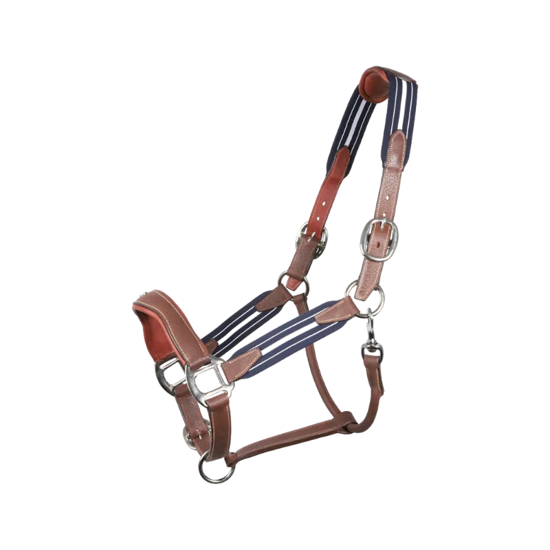 Antarès Sellier - Licol en cuir Stressless grainé havane / marine