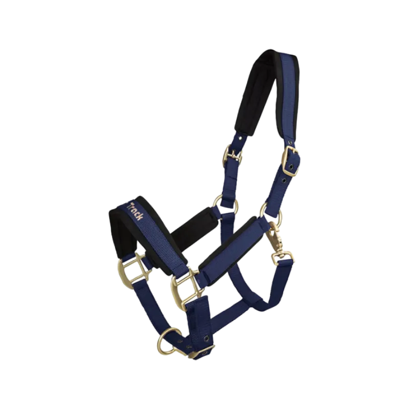 Back On Track - Licol Werano bleu