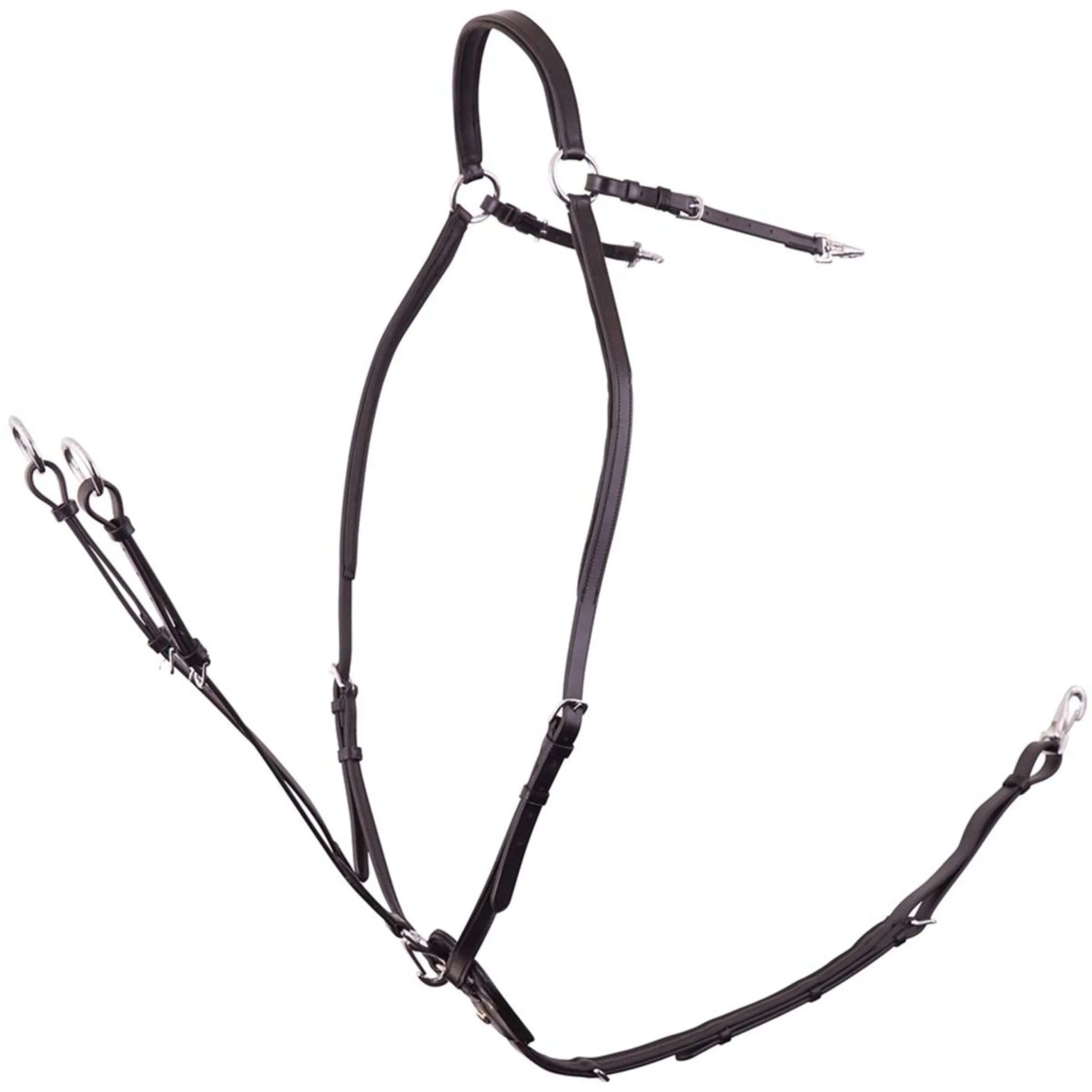 BR Collier de Chasse Rayleigh avec Sangles de Selle Noir/Argent