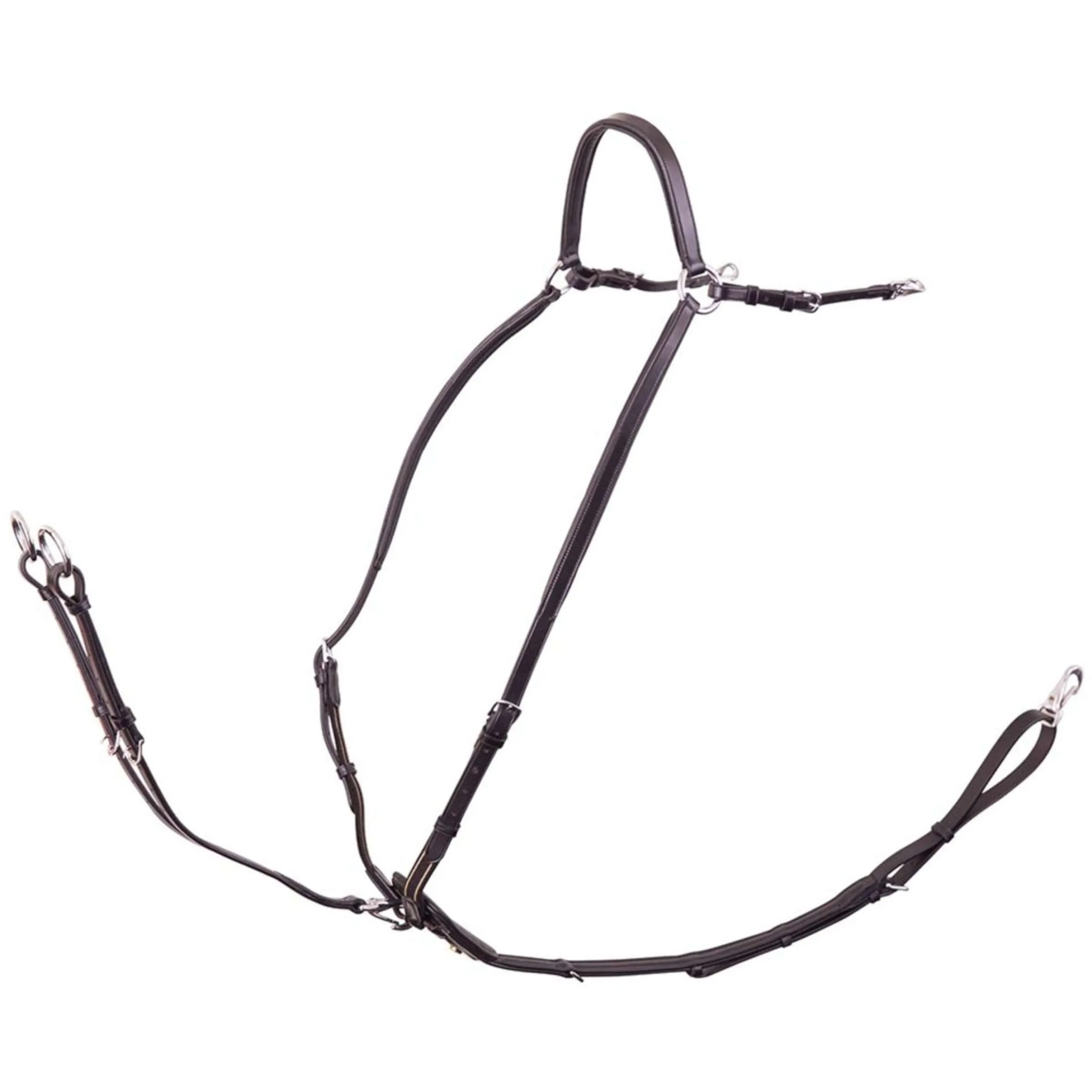 BR Collier de Chasse Rayleigh avec Sangles de Selle et Élastique Noir/Argent