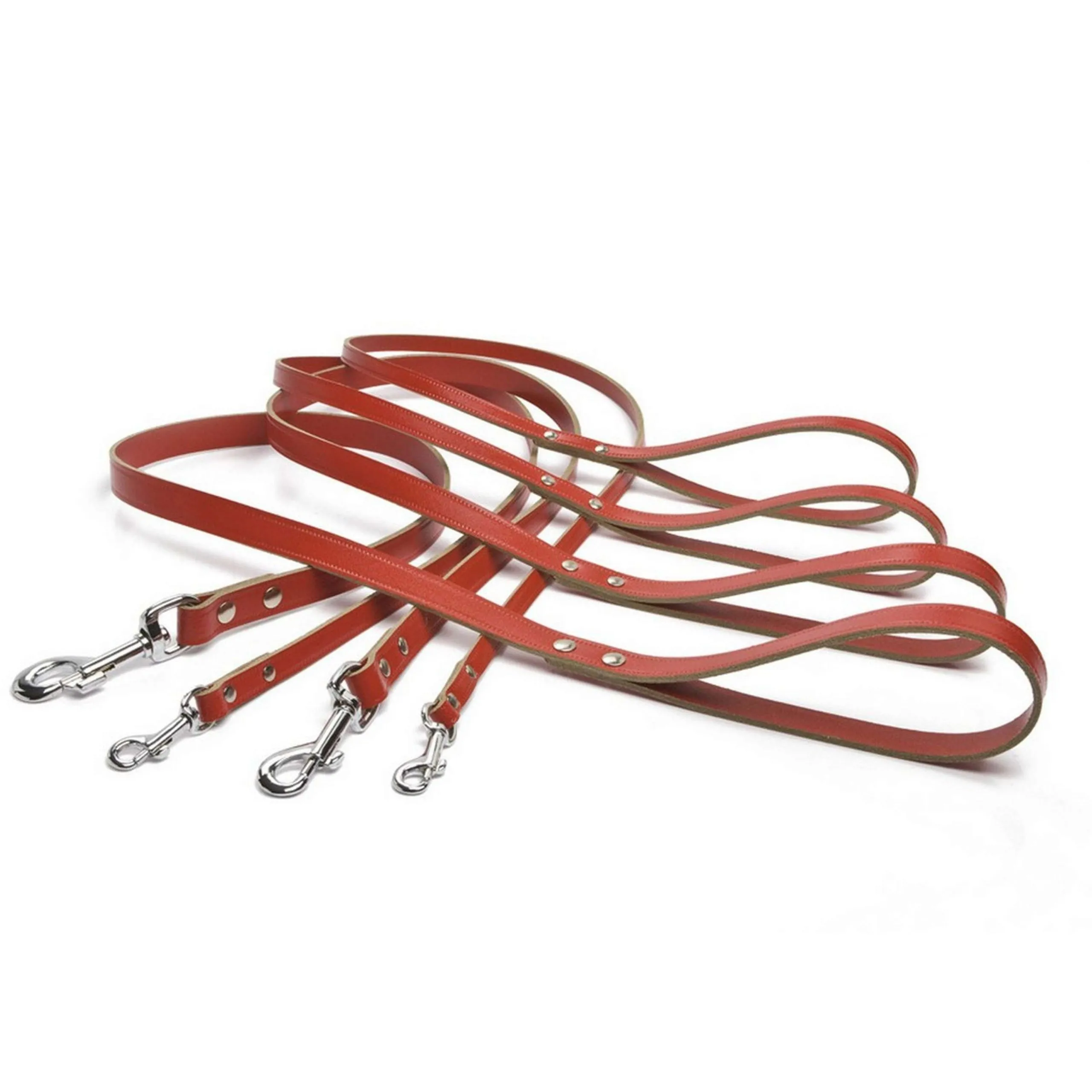 Beeztees Ipts Laisse Profitez Rouge