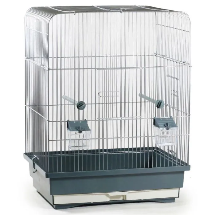 Benelux Cage de Oiseaux Thibo
