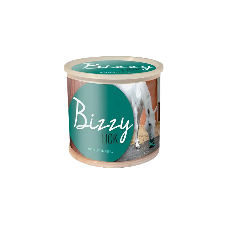 Bizzy Horse - Friandise pour chevaux pierre bizzy lick menthe