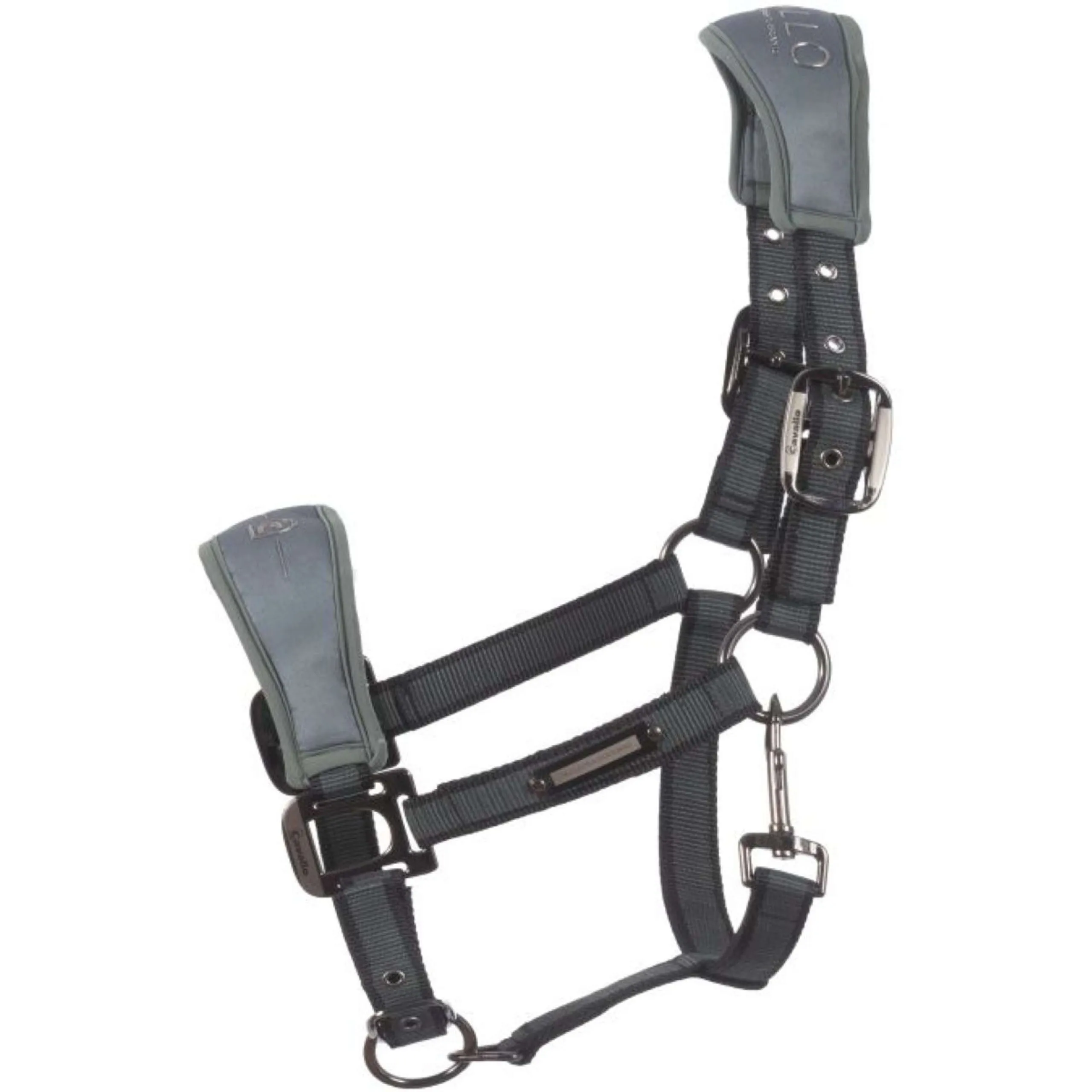 Cavallo Licol CavalSoftshell Thym