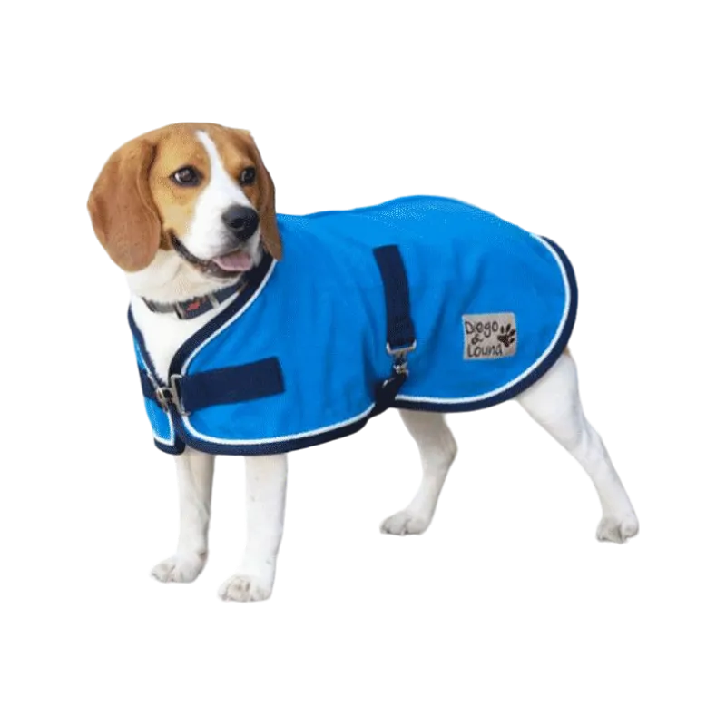 Diego & Louna - Manteau pour chiens Polyfun bleu vif 280g