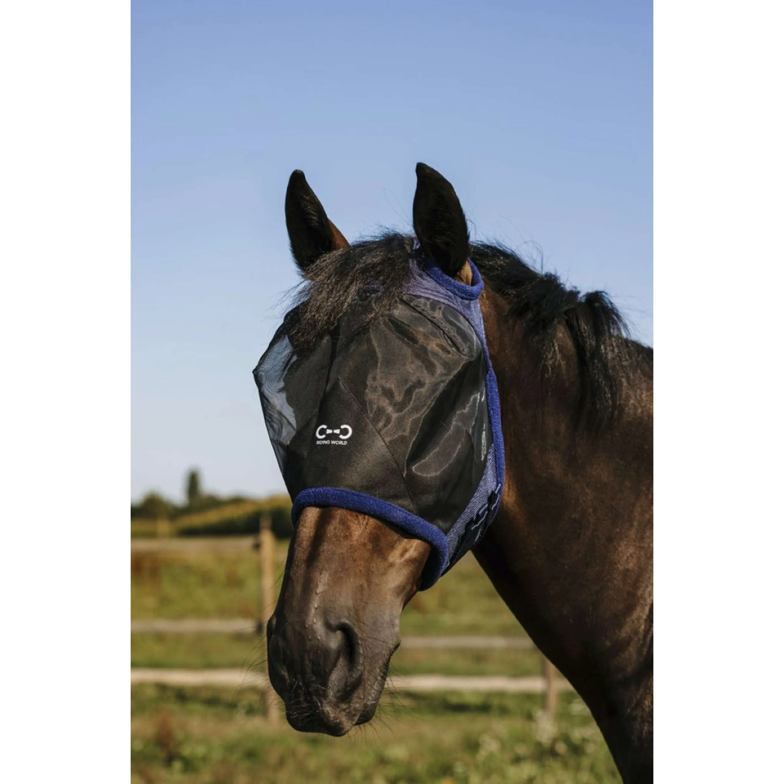 Riding World Masque Anti-Mouches First sans Oreilles Marin