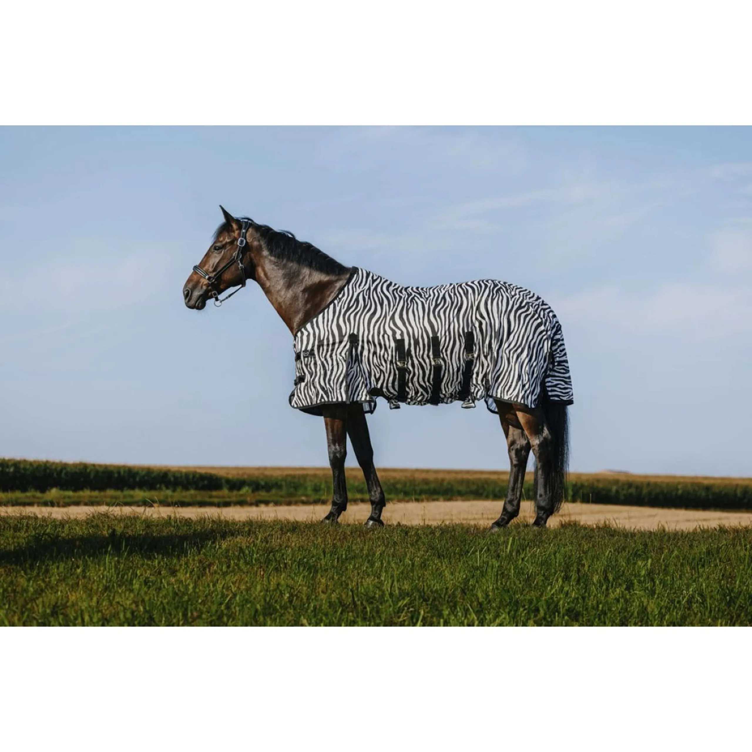 Riding World Couverture Anti-Mouches Belly Mesh Zebra