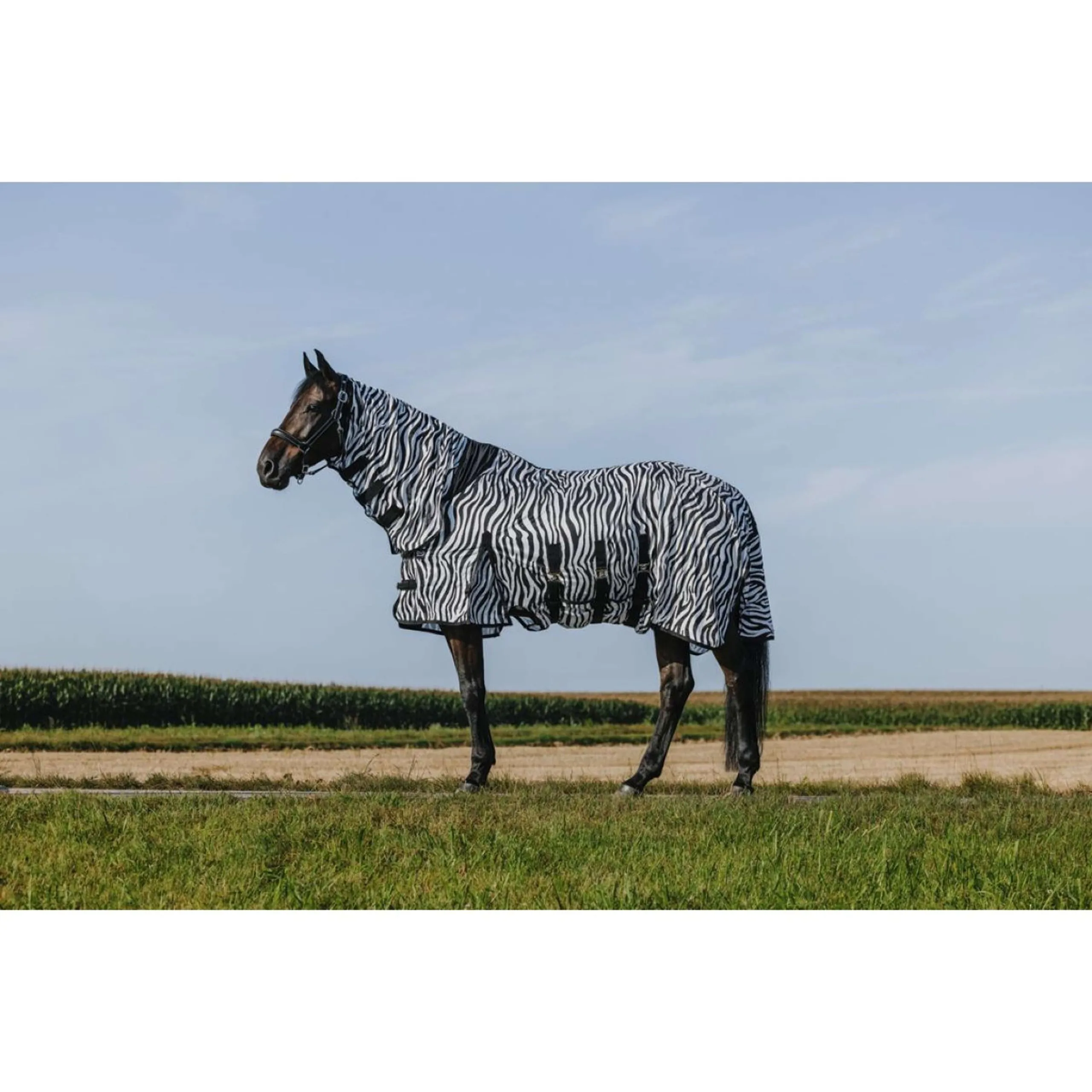 Riding World Couverture Anti-Mouches Belly Mesh Combo Zebra