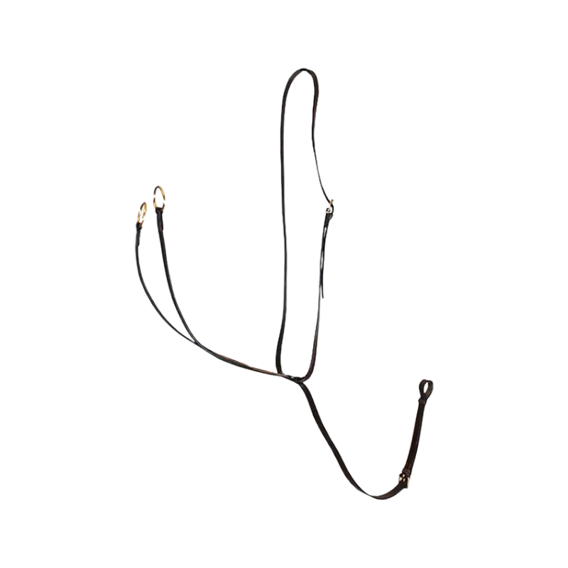 Eric Thomas - Martingale à anneaux pro Havane