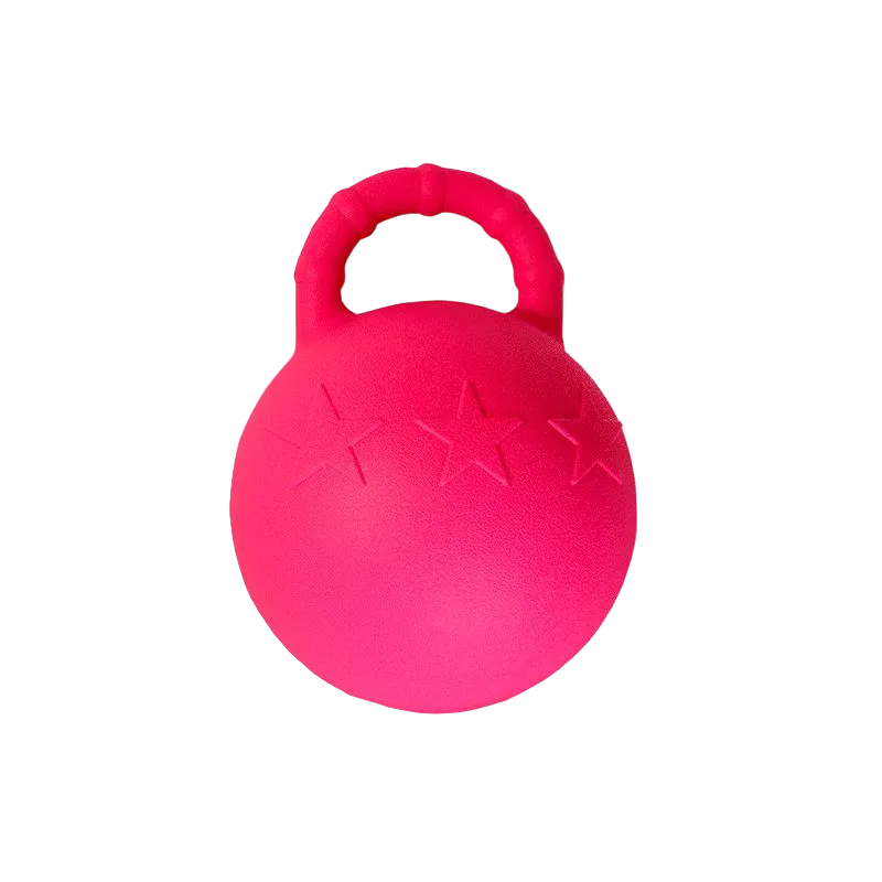 Hippotonic - Ballon à poignée fuchsia