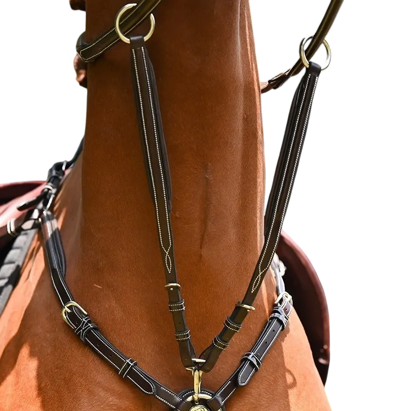 Jump'In - Martingale de collier Wednesday havane