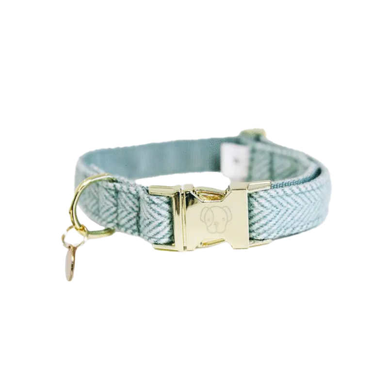 Kentucky Dogwear - Collier pour chiens Wool bleu clair