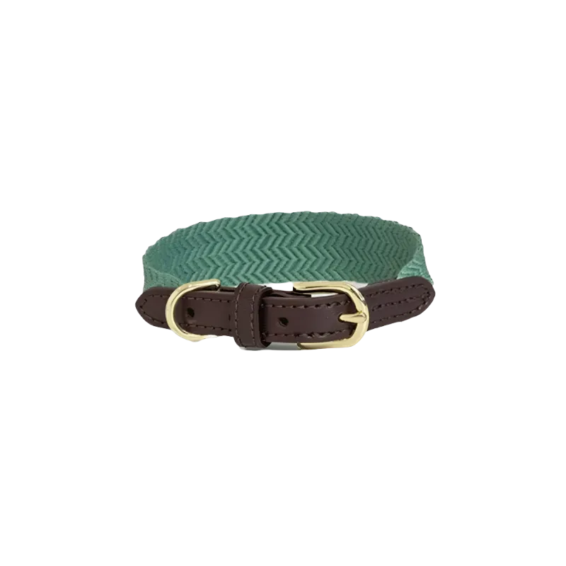 Kentucky Dogwear - Collier pour chien Jacquard vert olive