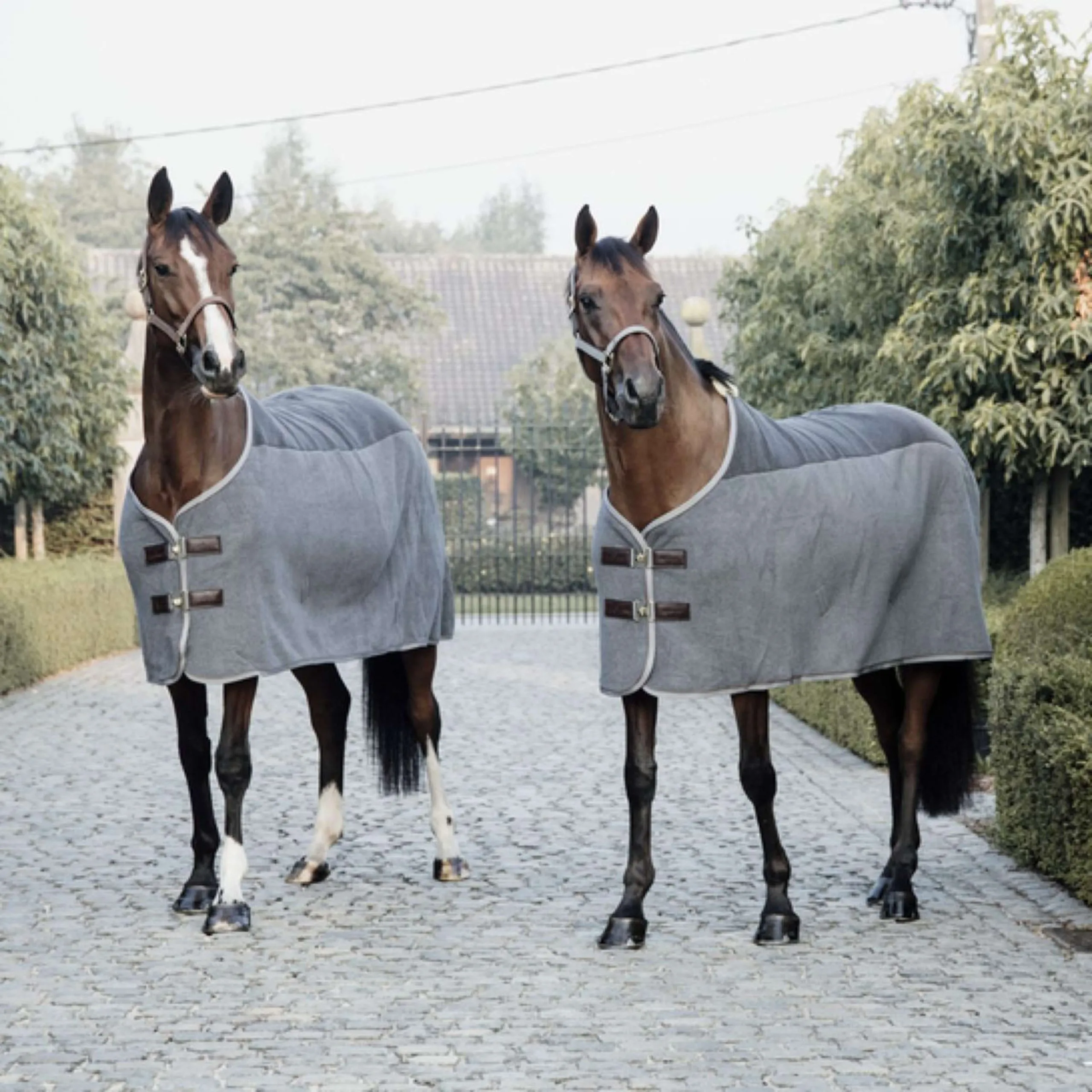 Kentucky Couverture Polaire Heavy Gris