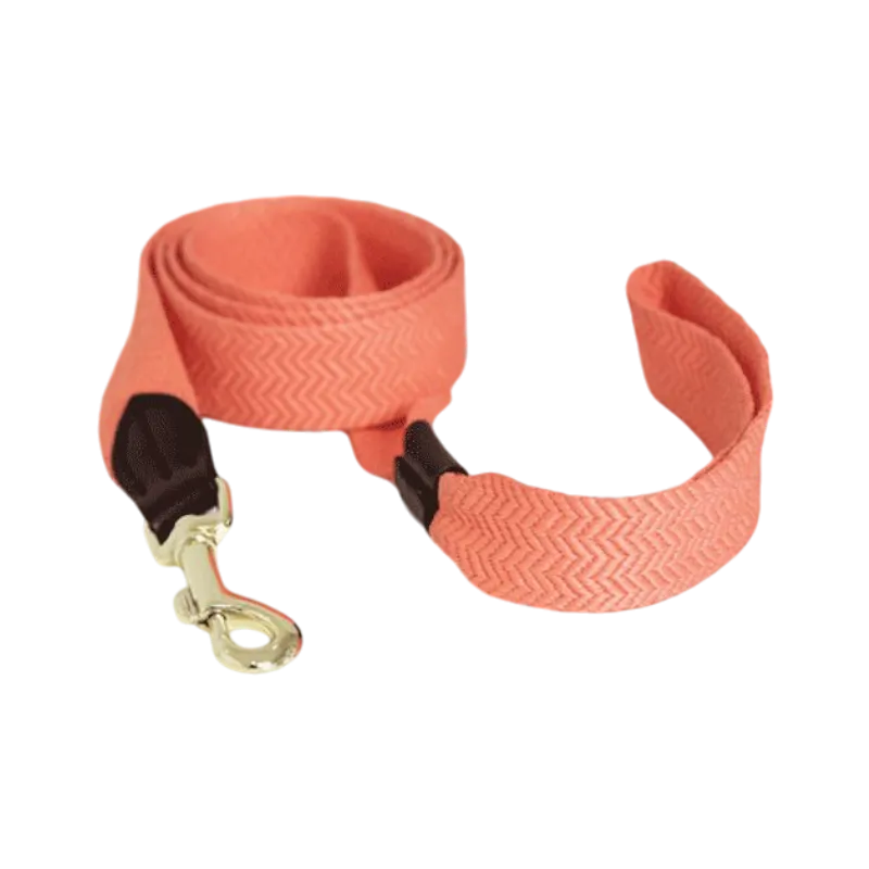 Kentucky Dogwear - Laisse pour chien Jacquard Orange  fluo