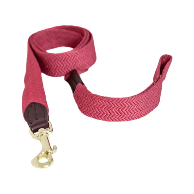 Kentucky Dogwear - Laisse pour chien Jacquard rose
